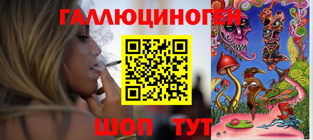 Галлюциногенные грибы Psilocybine cubensis  Вход с VPN  Галлюциногенные грибы GOLDEN TEACHER  Амурск 